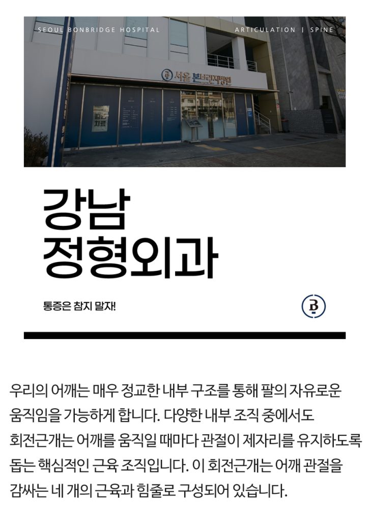 강남 정형외과 (1)